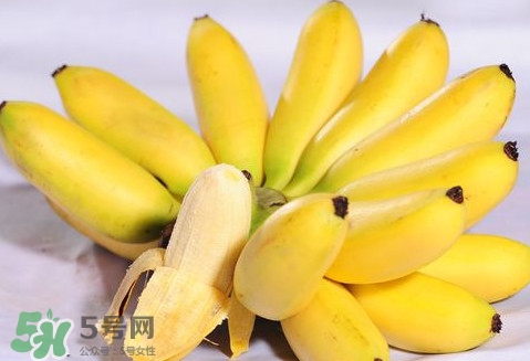 芭蕉是熱性還是涼性？芭蕉是熱性還是寒性？