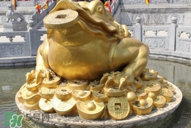 蟾蜍能活多久？蟾蜍可以活多少年