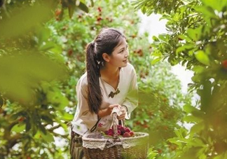 仙居楊梅在哪里？仙居楊梅哪里最好？