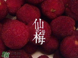 仙居楊梅多少錢(qián)一斤？仙居楊梅多少錢(qián)一斤2017？