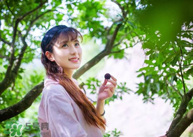 仙居楊梅在哪里？仙居楊梅哪里最好？