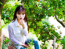 仙居楊梅在哪里？仙居楊梅哪里最好？