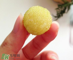 白楊梅多少錢一斤？白楊梅產(chǎn)地