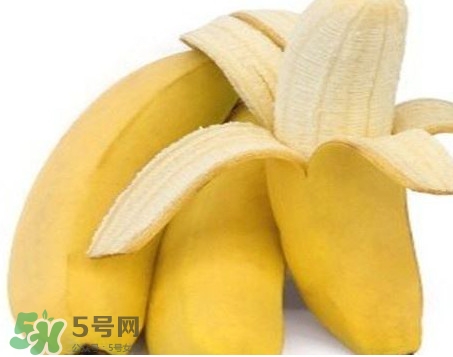 皇帝蕉多少錢一斤？2017皇帝蕉價格