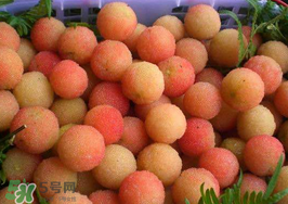 白楊梅可以泡酒嗎？白楊梅泡酒有什么功效？