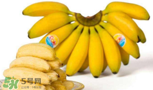 帝王蕉是芭蕉嗎？帝王蕉和芭蕉的區(qū)別