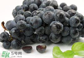 無籽葡萄有哪些品種？無籽葡萄多少錢一斤？