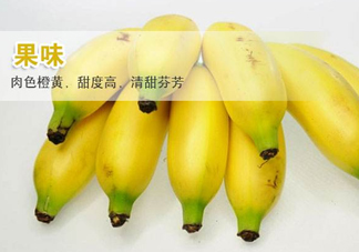 皇帝蕉多少錢一斤？2017皇帝蕉價格