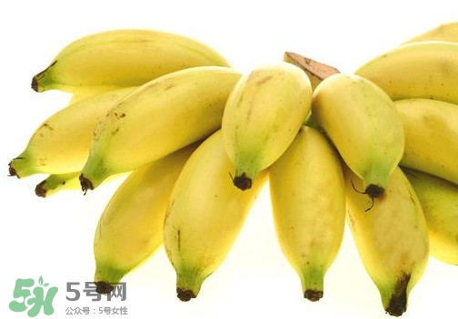 帝王蕉是芭蕉嗎？帝王蕉和芭蕉的區(qū)別