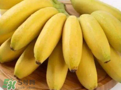 帝王蕉多少錢一斤？帝王蕉是轉(zhuǎn)基因香蕉嗎