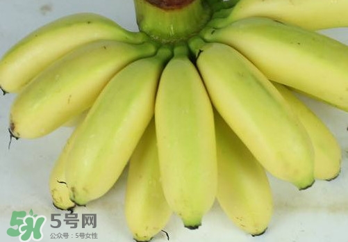 帝王蕉和皇帝蕉有區(qū)別嗎？帝王蕉和普通香蕉區(qū)別