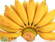 皇帝蕉是芭蕉嗎？皇帝蕉和芭蕉的區(qū)別