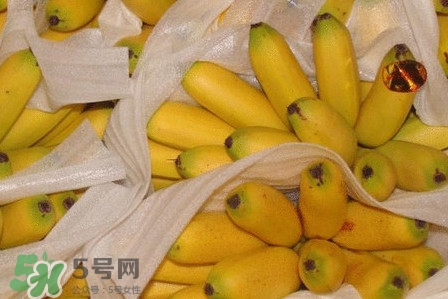 皇帝蕉是不是香蕉？皇帝蕉與普通香蕉區(qū)別