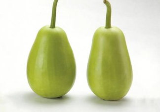 苦瓠子有毒嗎？苦瓠子中毒怎么辦？