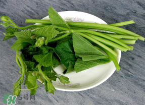 南瓜葉怎么處理？南瓜葉怎么炒？