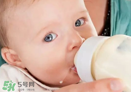 世界一線的奶粉品牌有哪些？全球一流的品牌奶粉有哪些？