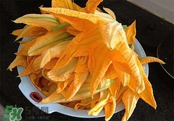 南瓜花有什么作用？南瓜花的作用及禁忌