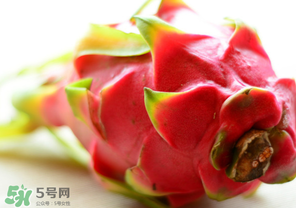 七月份可以種火龍果嗎？火龍果什么時(shí)候種植？