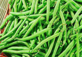 7月份可以種豆角嗎？豆角幾月份種？