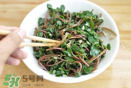 螞蚱菜怎么吃？螞蚱菜怎么做好吃