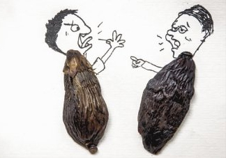 口味王檳榔是什么東西？口味王檳榔怎么吃
