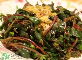 螞蚱菜怎么炒好吃？螞蚱菜做法有哪幾種