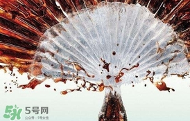 運(yùn)動(dòng)后可以喝可樂(lè)嗎？運(yùn)動(dòng)后喝可樂(lè)會(huì)胖嗎？