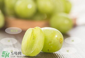 青提怎么保存？青提可以放冰箱嗎？