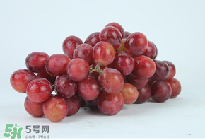 紅提多少錢一斤？紅提子多少錢一斤？