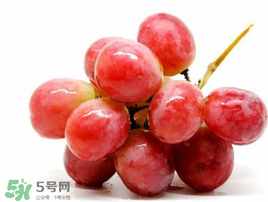 紅提可以放冰箱嗎？紅提放冷庫怎么保存？