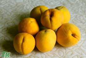 黃桃一天可以吃幾個(gè)？黃桃能多吃嗎？