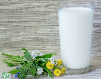 脫脂奶粉哪個(gè)牌子好？脫脂奶粉什么品牌的好？