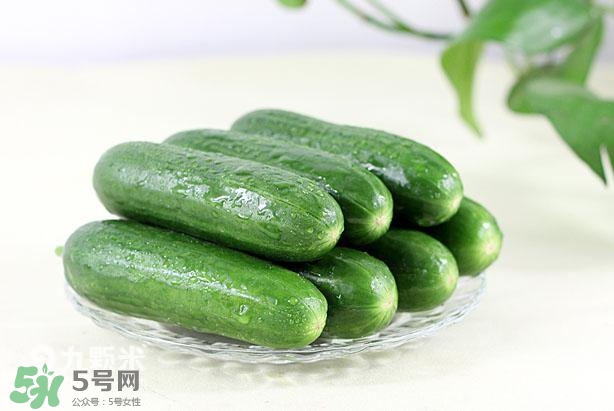 水果黃瓜常溫能放多久？水果黃瓜怎么保存？