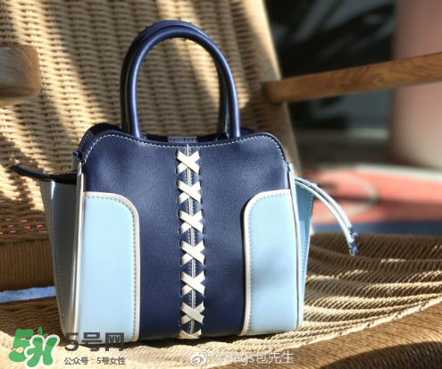 tod's與包先生聯(lián)名合作款折耳包包尺寸多大？