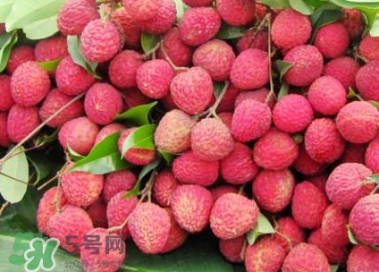 增城荔枝節(jié)是什么時候？2017年增城荔枝節(jié)時間