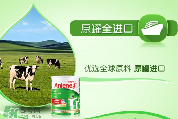 Anlene安怡奶粉怎么樣？Anlene安怡奶粉好不好？