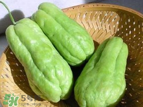佛手瓜發(fā)芽了可以吃嗎？佛手瓜怎么吃？