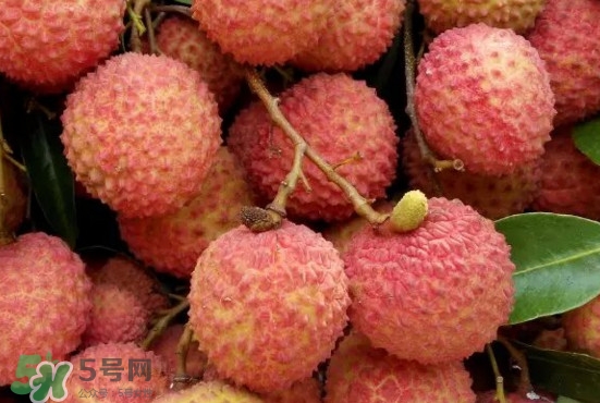 掛綠荔枝什么時候上市？掛綠荔枝什么時候成熟