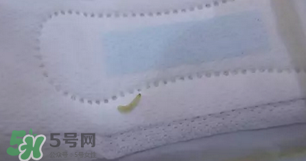 高潔絲衛(wèi)生巾有蟲嗎？高潔絲衛(wèi)生巾有熒光劑