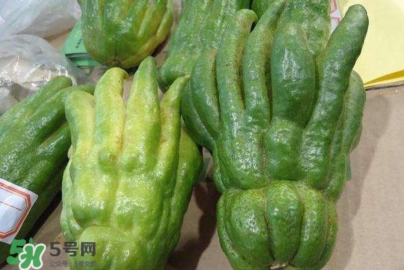 佛手與佛手瓜有什么區(qū)別？佛手與佛手鉗有什么區(qū)別