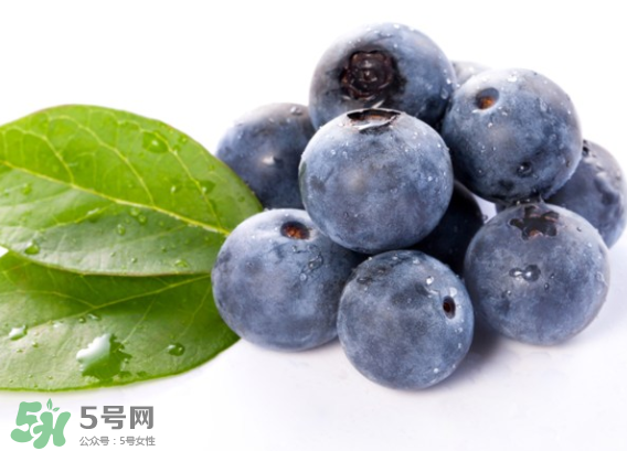 藍(lán)莓是什么顏色？藍(lán)莓泡水什么顏色？