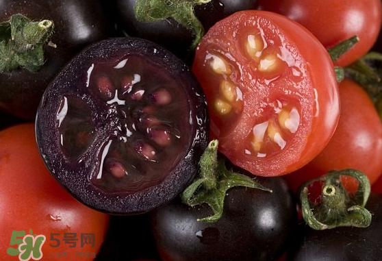 藍(lán)莓和番茄能一起吃嗎？藍(lán)莓和西紅柿能一起吃嗎？
