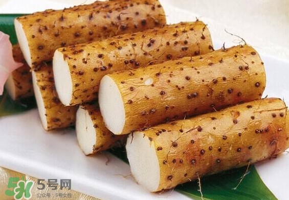 懷山藥是生山藥嗎？懷山藥是鐵棍山藥嗎