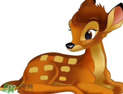斑比跪是什么意思？斑比跪是什么坐勢