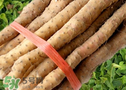 懷山藥可以生吃嗎？懷山藥怎么吃最好