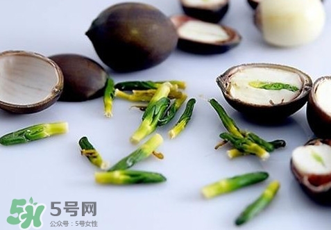 蓮子心能吃嗎？蓮子心是藥食同源嗎