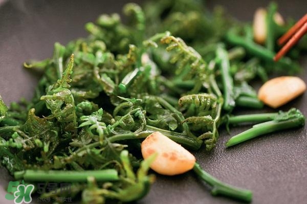 龍須菜怎么清洗？龍須菜怎么處理？