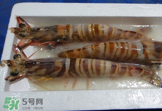 竹節(jié)蝦該怎么吃？竹節(jié)蝦怎么處理干凈