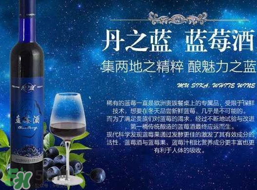 藍(lán)莓酒多少錢一瓶？藍(lán)莓王酒多少錢一瓶？