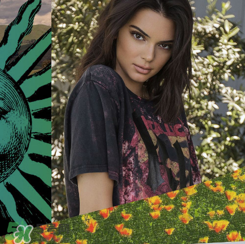 kendall kylie2017復(fù)古系列短袖t恤怎么樣_好看嗎_款式有哪些？